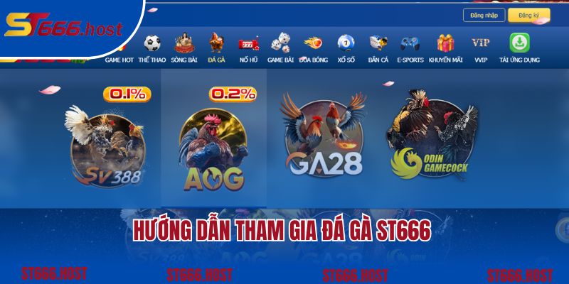 Hướng dẫn cách thức tham gia đá gà ST666 đơn giản nhất